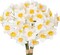 12-Stem Artificial Daffodil Set – 2 Bunches of Real-Touch Silk Narcissus Flowers, 9-Inch Spring Decor for Weddings, Home, Parties, Office, and Anniversary (White)
